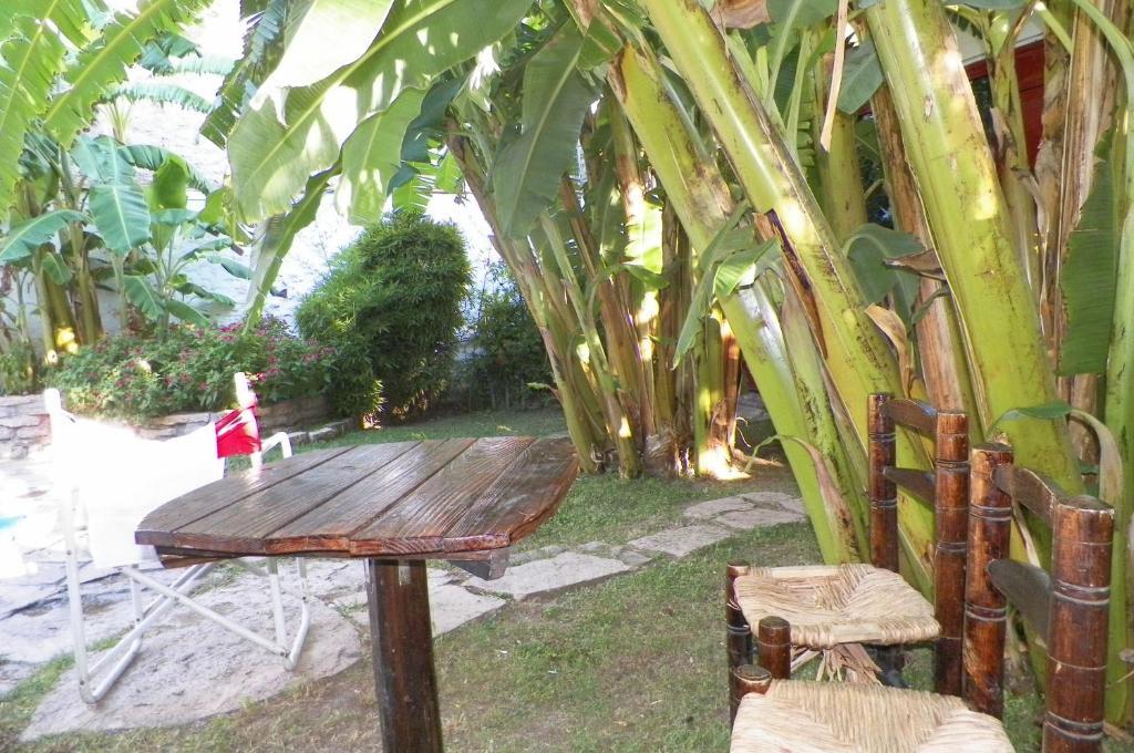Hostel Mendoza Inn Εξωτερικό φωτογραφία